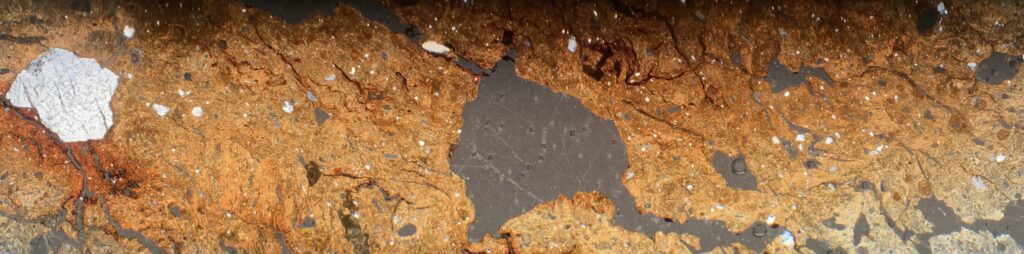 Keramikas trauka lauskas plānslīpējumsPottery sherd thin section